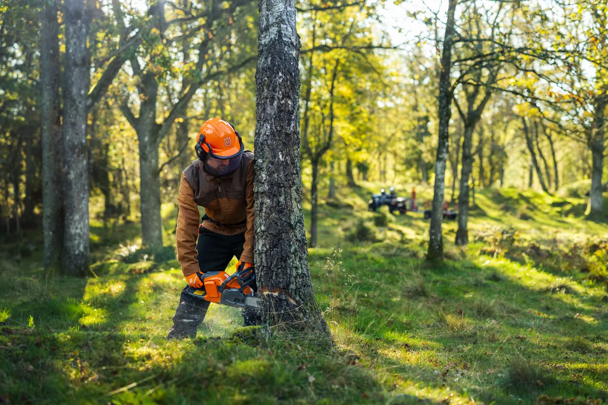 Husqvarna láncfűrészes munkavégzés